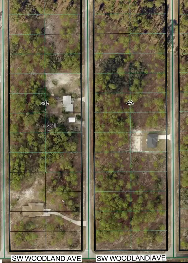 Tbd SW Buena Vista Road, Dunnellon, FL 34431
