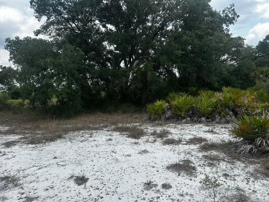0 NW 312th Street, Okeechobee, FL 34972 - #2
