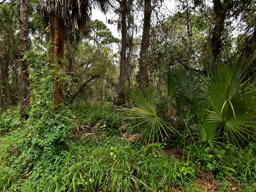 Tbd Oak Hammock Lane, Fort Pierce, FL 34981 - #3