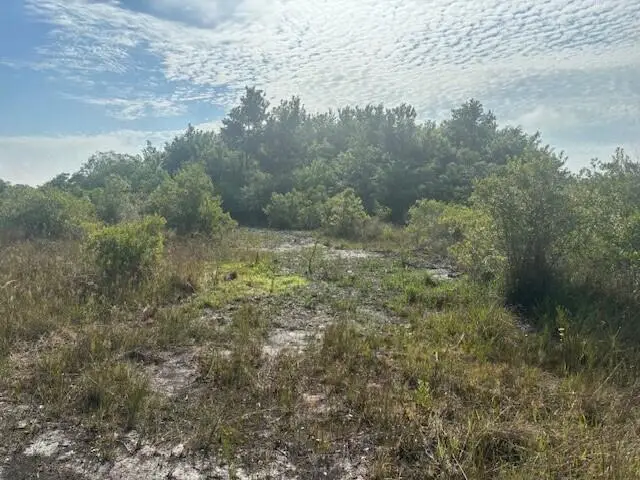 15729 NW 294th Street, Okeechobee, FL 34972 - #2