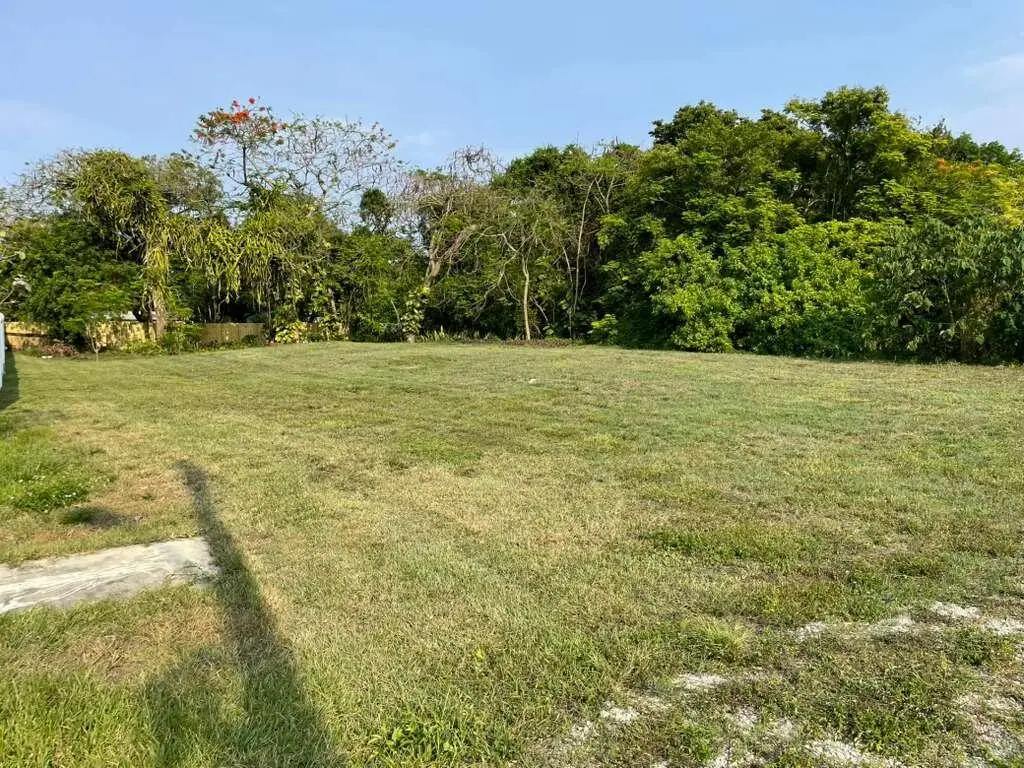 2630 NW 20th Avenue, Oakland Park, FL 33311 - #1