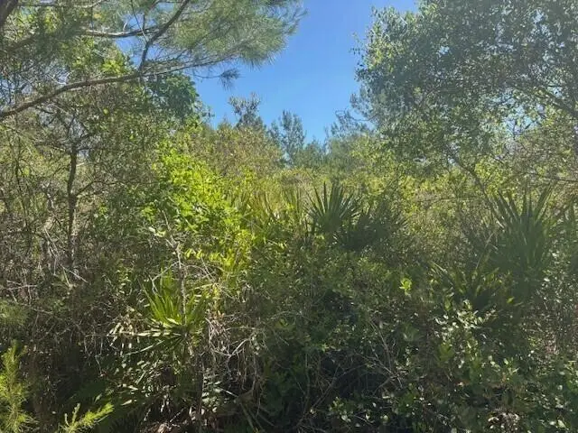 0 Golden Shores Blvd, Mims, FL 32754 - #3