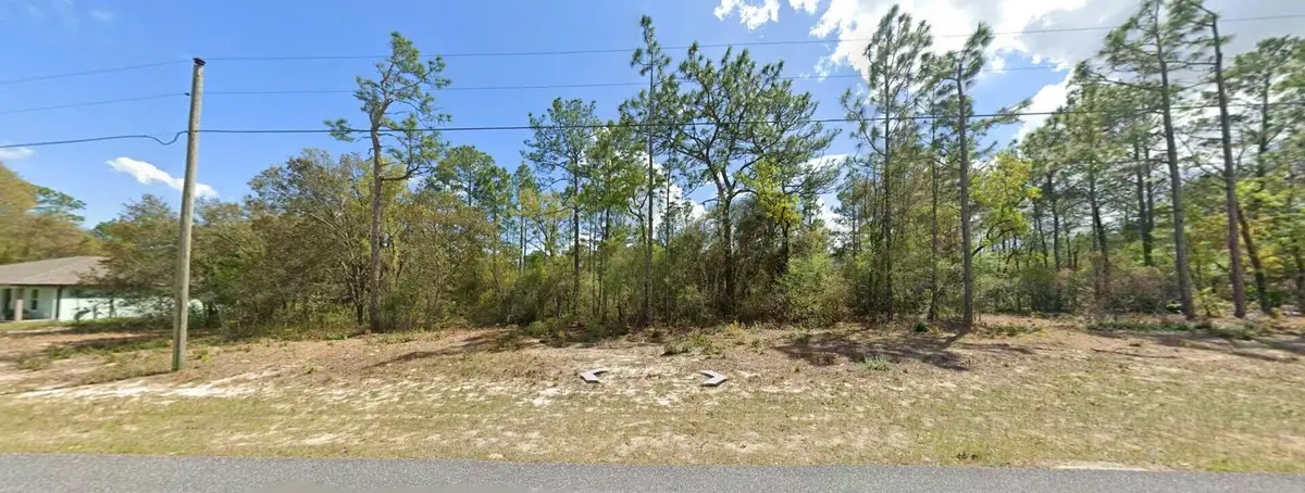 9029 N Saponaria Drive, Citrus Springs, FL 34433 - #1