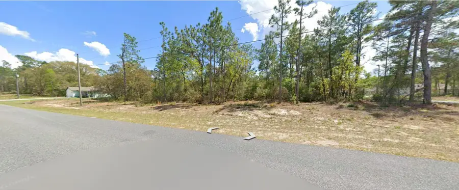 9029 N Saponaria Drive, Citrus Springs, FL 34433 - #3
