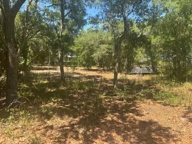 19201 NW 256th Street, Okeechobee, FL 34972 - #3