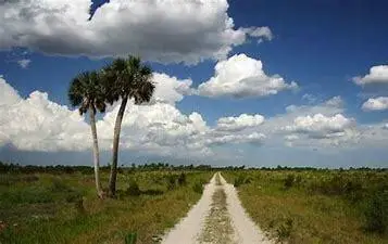 15455 NW 268th Street, Okeechobee, FL 34972 - #3
