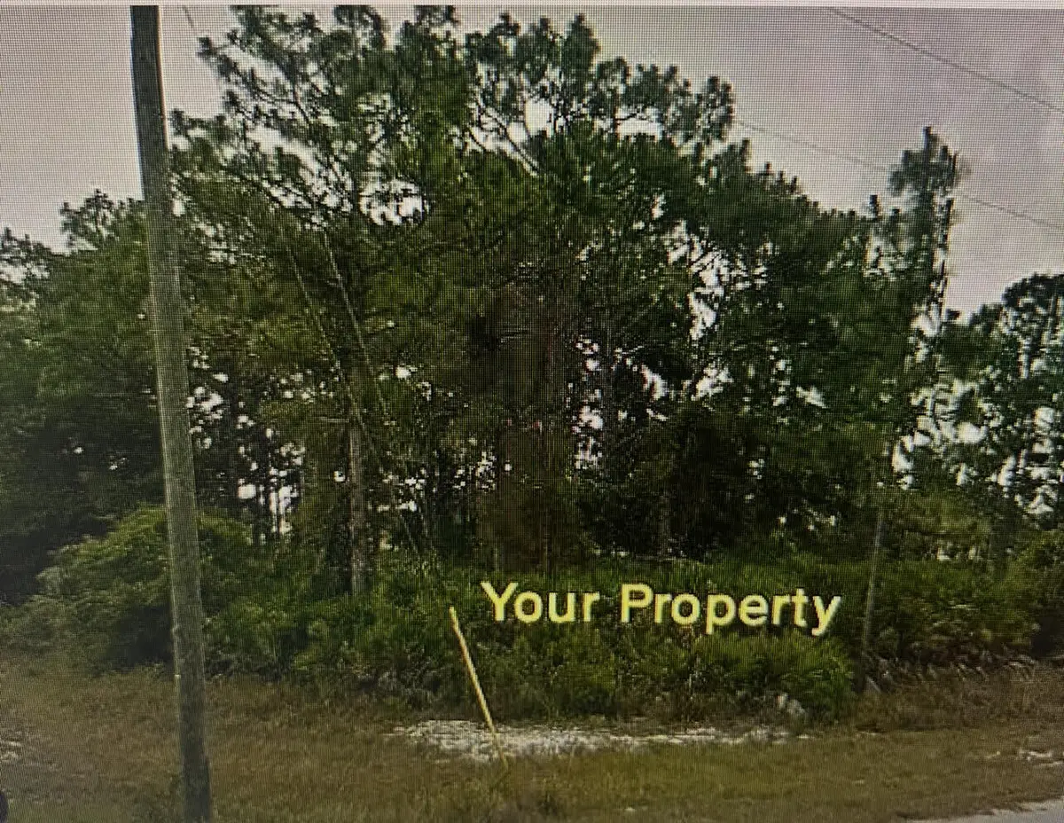 1170 Kingfisher Avenue Nw, Lake Placid, FL 33852 - #1