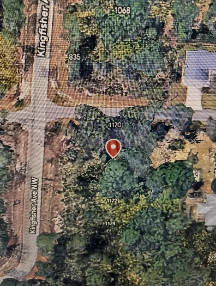 1170 Kingfisher Avenue Nw, Lake Placid, FL 33852 - #2