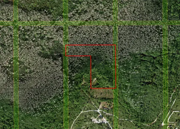 0 Holopaw Groves Road, St Cloud, FL 34772