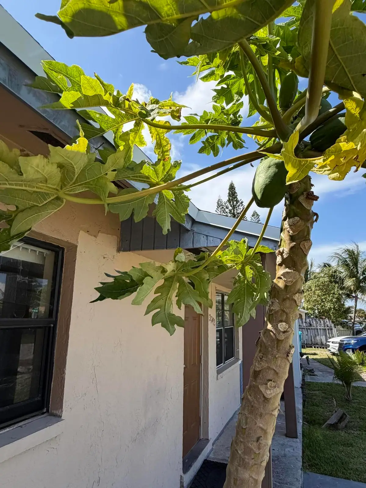 3243 Grove Road, Boynton Beach, FL 33435 - #1
