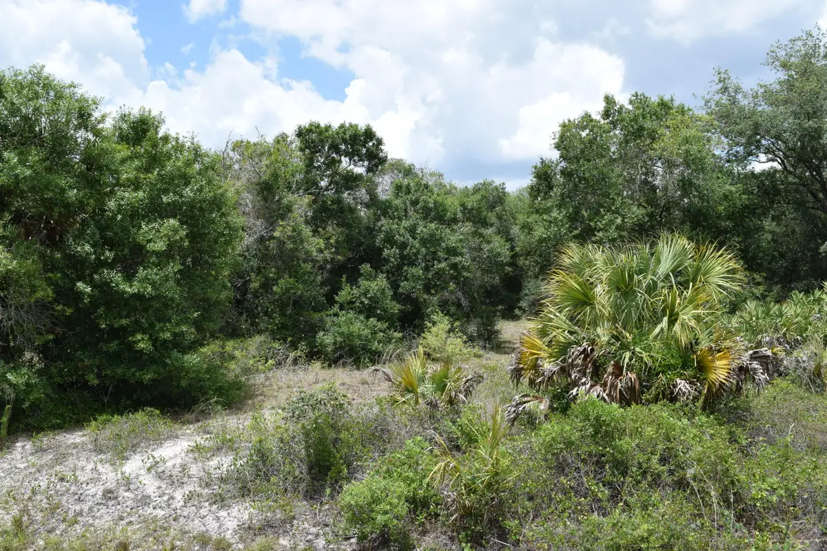 17119 NW 276th Street, Okeechobee, FL 34972 - #1