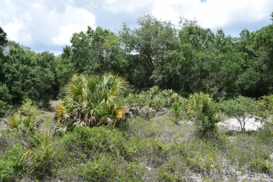 17119 NW 276th Street, Okeechobee, FL 34972 - #2