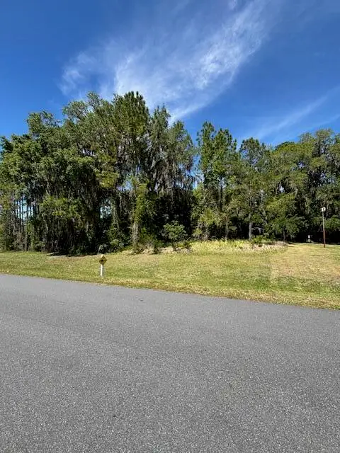 3303 N Canterbury Lake Drive, Hernando, FL 34442 - #3