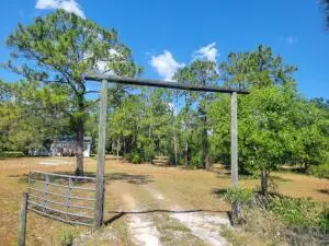1155 NE 342nd Trail, Okeechobee, FL 34972 - #3
