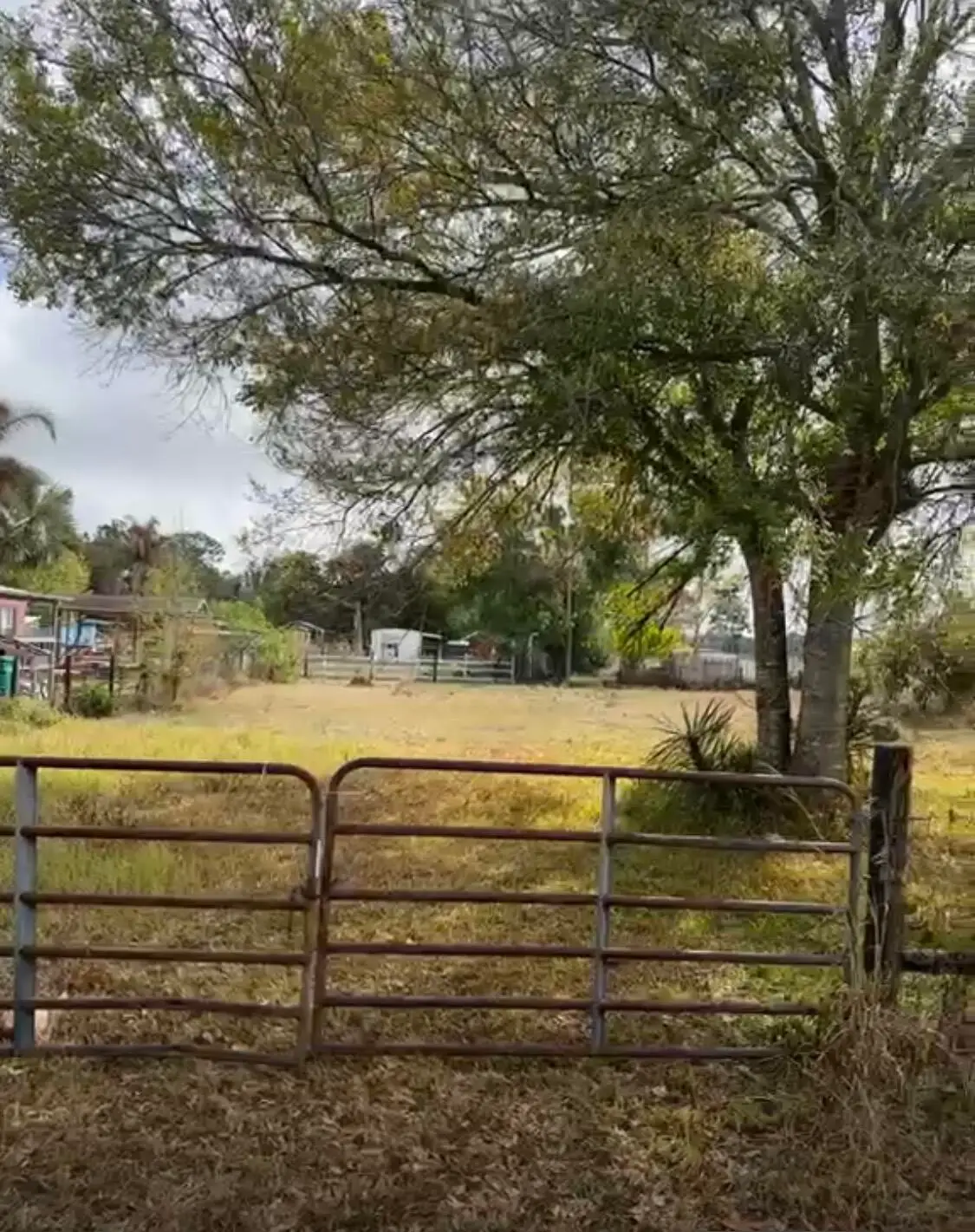 854 NE 42nd Terrace, Okeechobee, FL 34972 - #1
