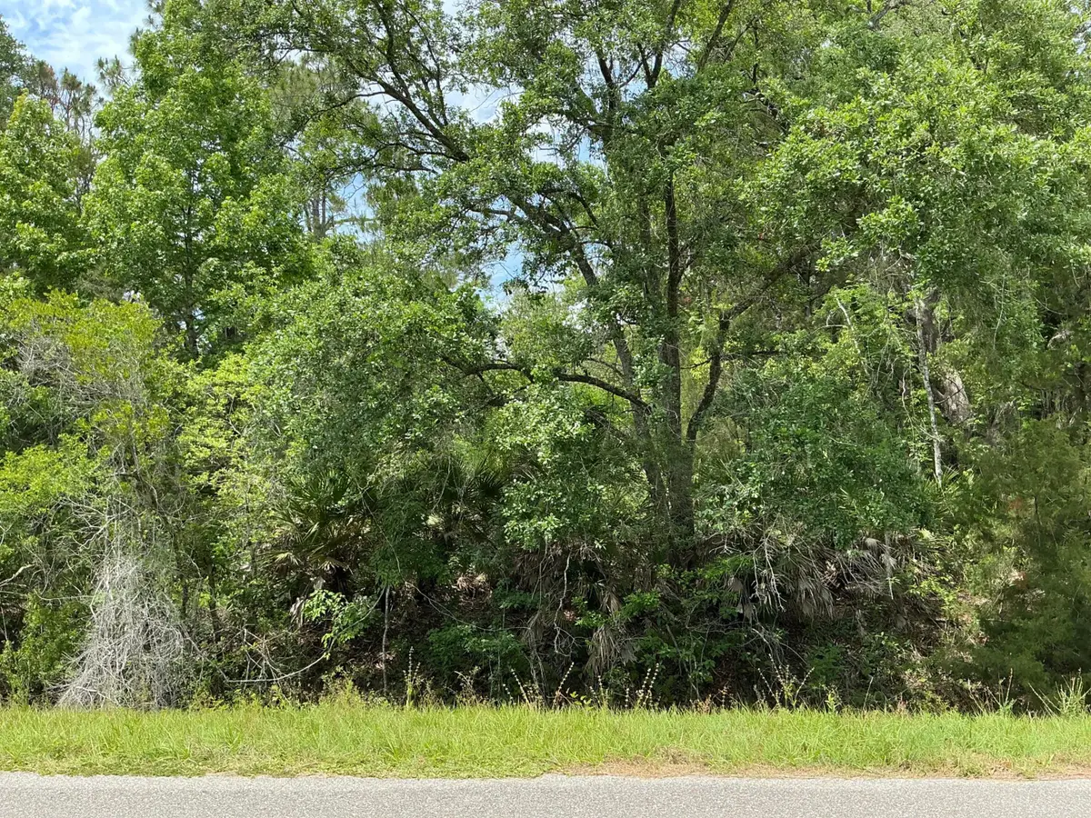 5020 Stephen Street, Hastings, FL 32145 - #1