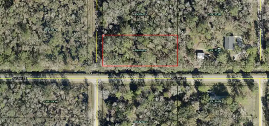 5020 Stephen Street, Hastings, FL 32145 - #2