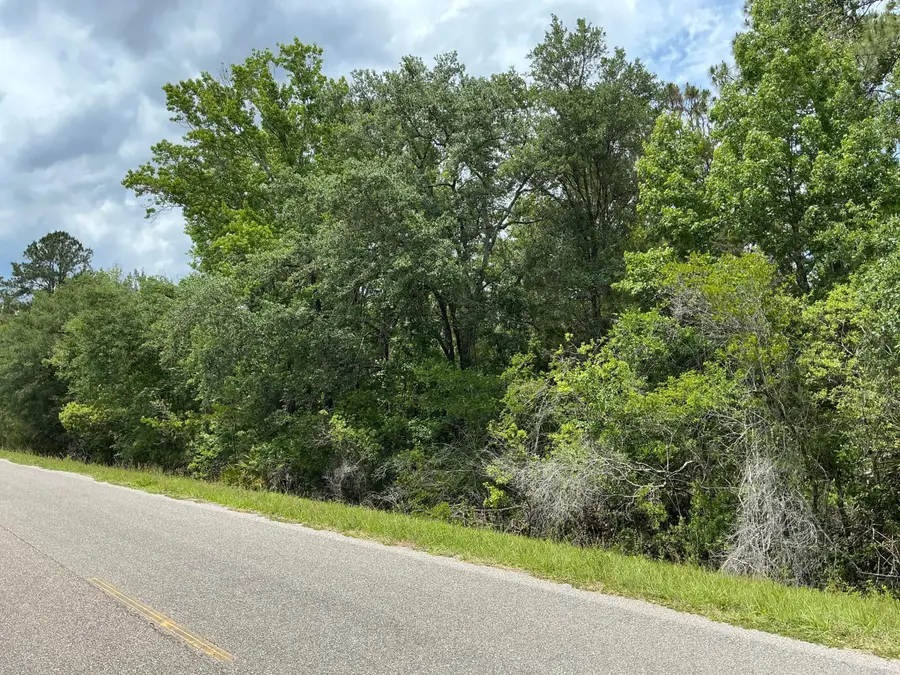 5020 Stephen Street, Hastings, FL 32145 - #3