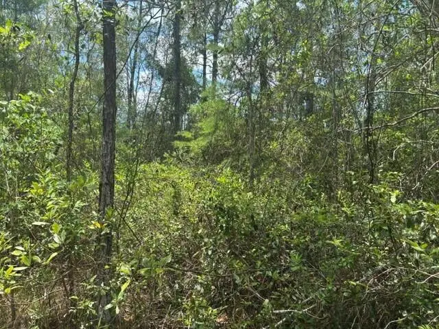 0 Water Road, Groveland Mascotte, FL 33868 - #2