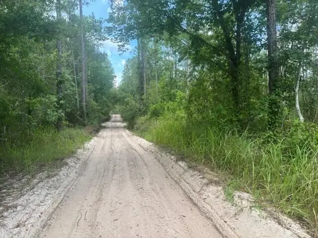 0 Water Road, Groveland Mascotte, FL 33868 - #1