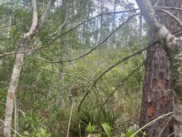 0 Water Road, Groveland Mascotte, FL 33868 - #3