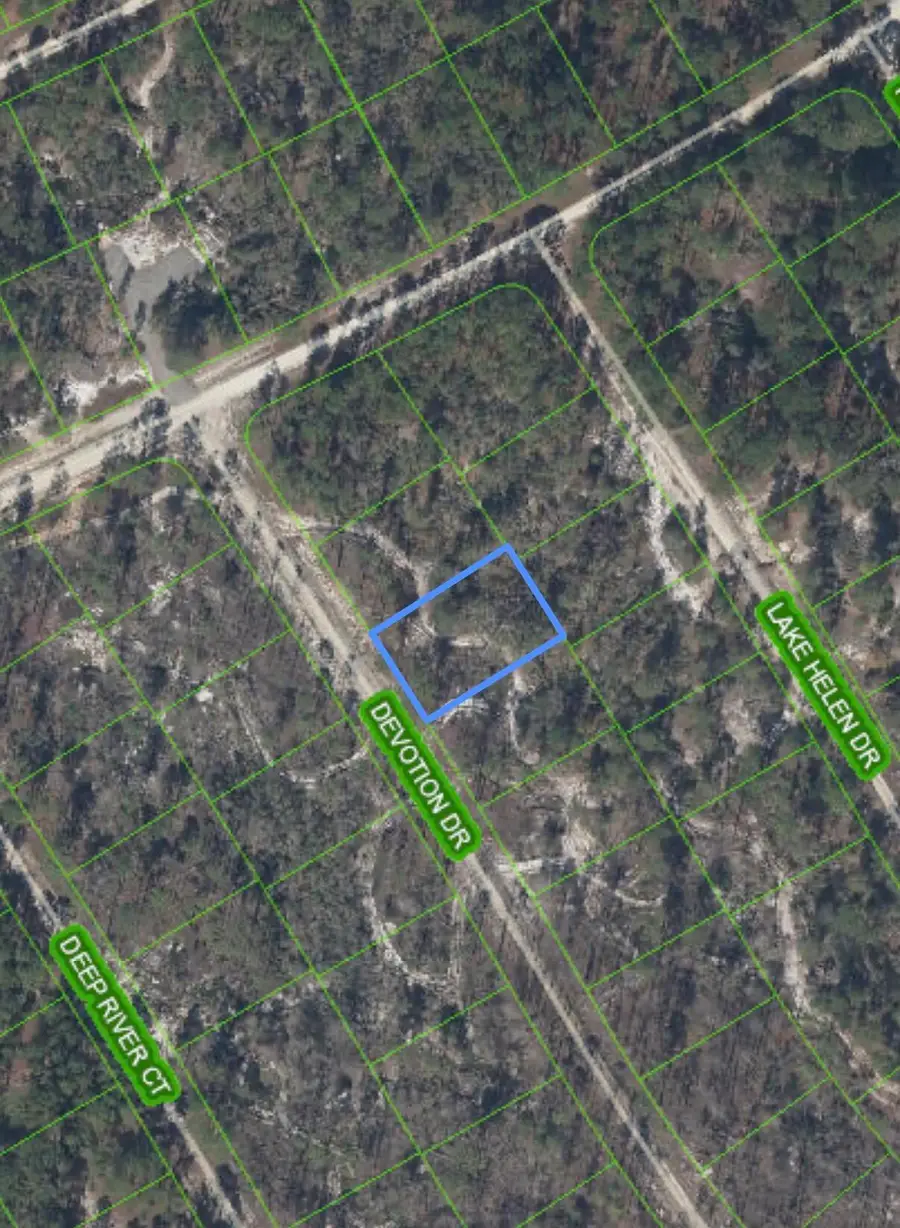 523 Devotion Drive, Lake Placid, FL 33852 - #3