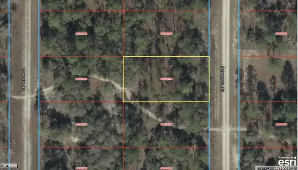 0 SE 136 Avenue, Morriston, FL 32668