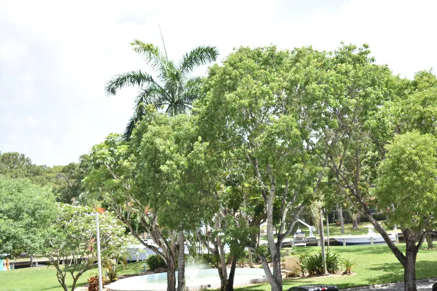 1101 River Reach Drive #212, Fort Lauderdale, FL 33315 - #2