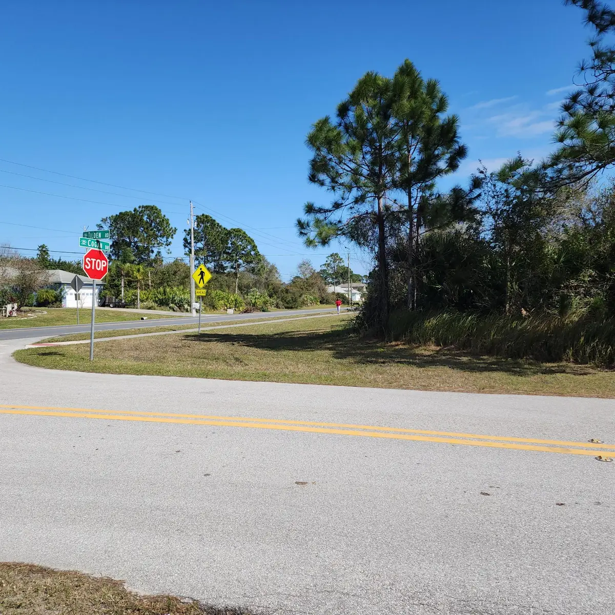 Xxx Tilden Road Se, Palm Bay, FL 32909 - #1