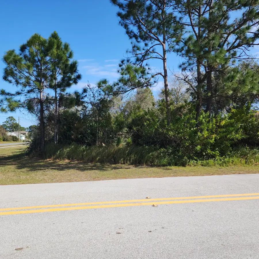 Xxx Tilden Road Se, Palm Bay, FL 32909 - #3