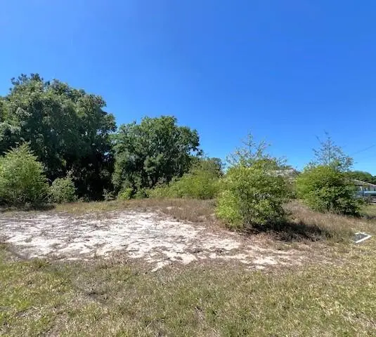 100 Honeycomb Avenue, Lake Placid, FL 33852 - #3
