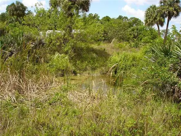 15780 N 99th St Street N #15780, The Acreage, FL 33412