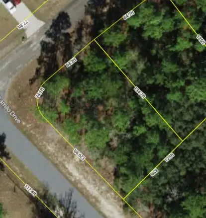 9239 N Marcus Way, Dunnellon, FL 34433