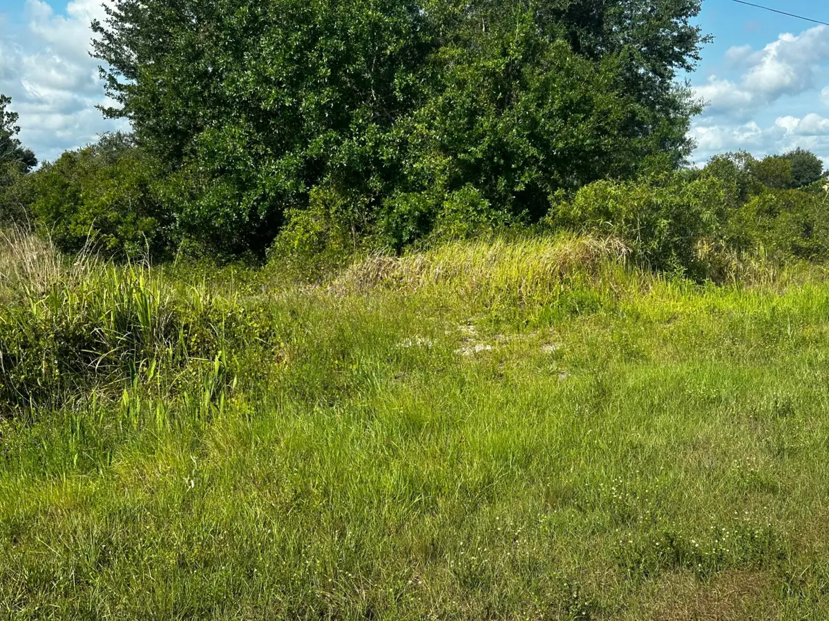 15138 NW 262nd Street, Okeechobee, FL 34972 - #1