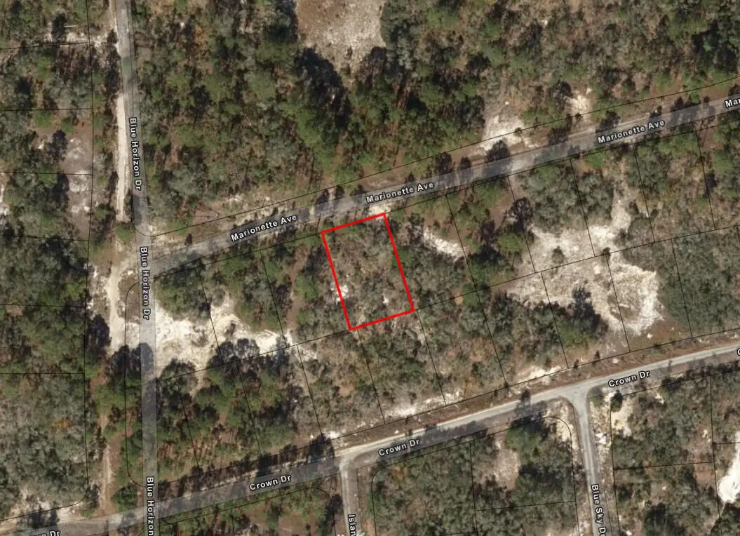 124 Eversole Avenue, Lake Placid, FL 33852 - #1