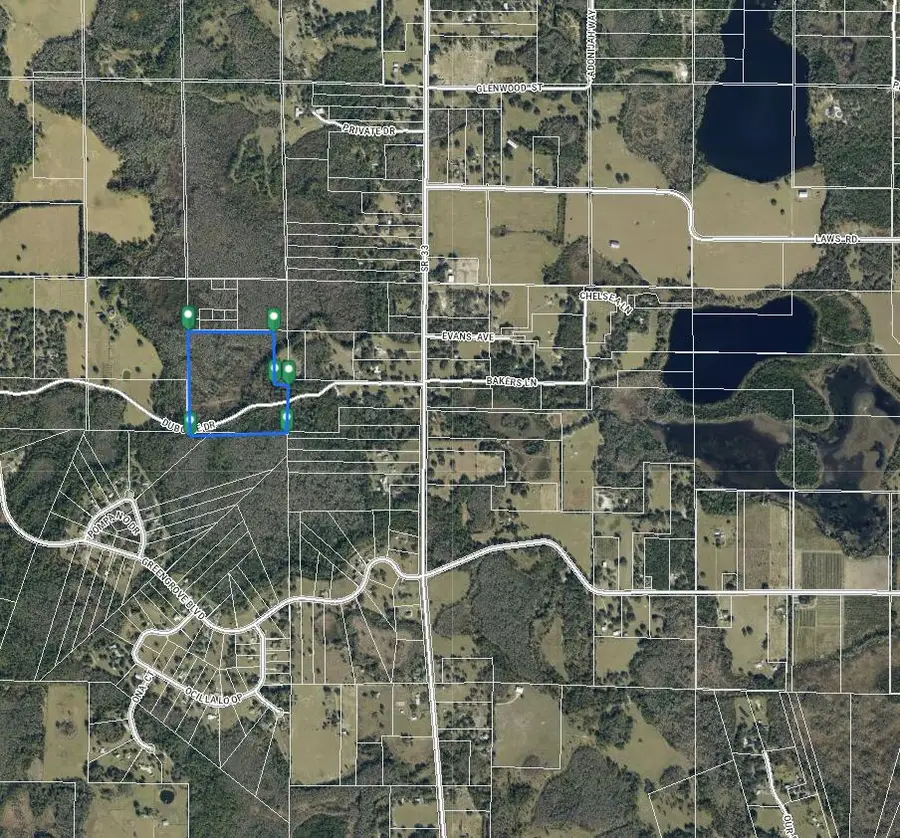 Tbd Duboise Drive, Groveland Mascotte, FL 34736 - #3