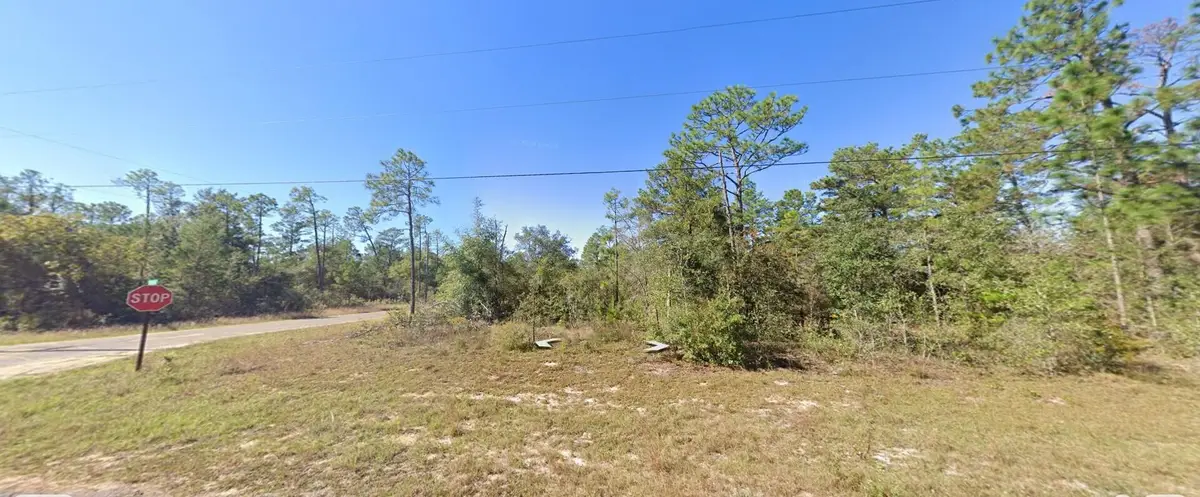 9999 Merrick Drive, Chipley, FL 32428 - #1
