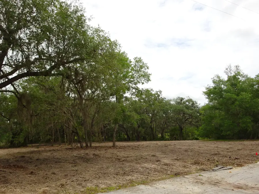Lots 449,450,451,452,453 SW Shorewood Drive Sw, Dunnellon, FL 34431 - #2
