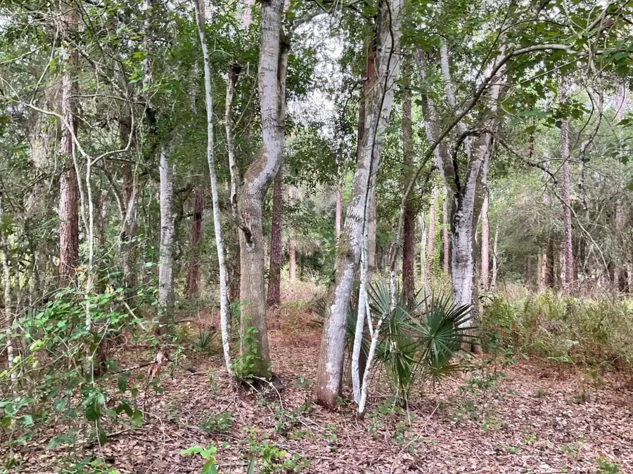 13550 NE 18th Avenue, Okeechobee, FL 34972 - #2