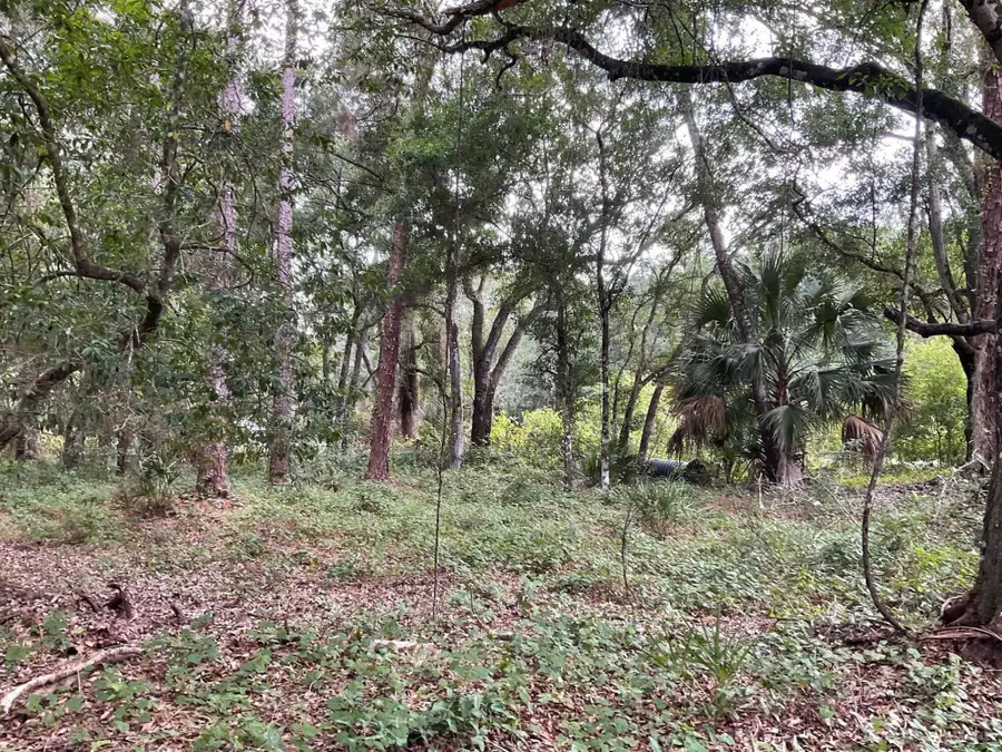 13550 NE 18th Avenue, Okeechobee, FL 34972 - #3