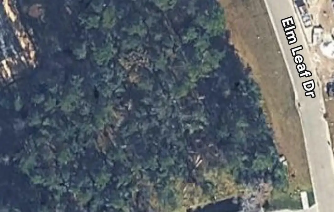 5049 Elm Leaf Drive, Brooksville, FL 34601 - #1