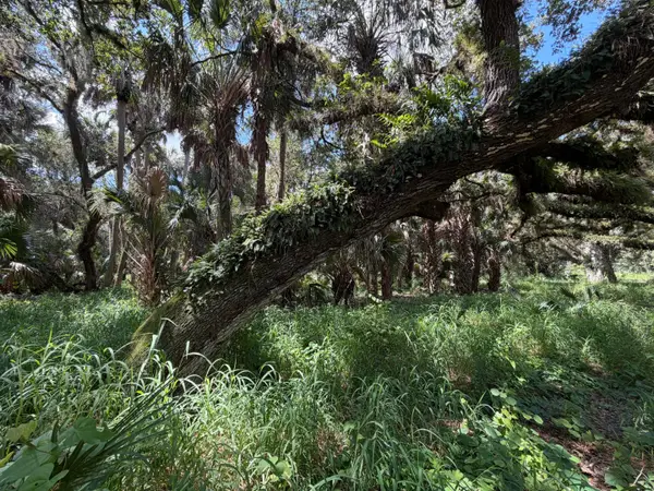 16477 NW 192nd Street, Okeechobee, FL 34972