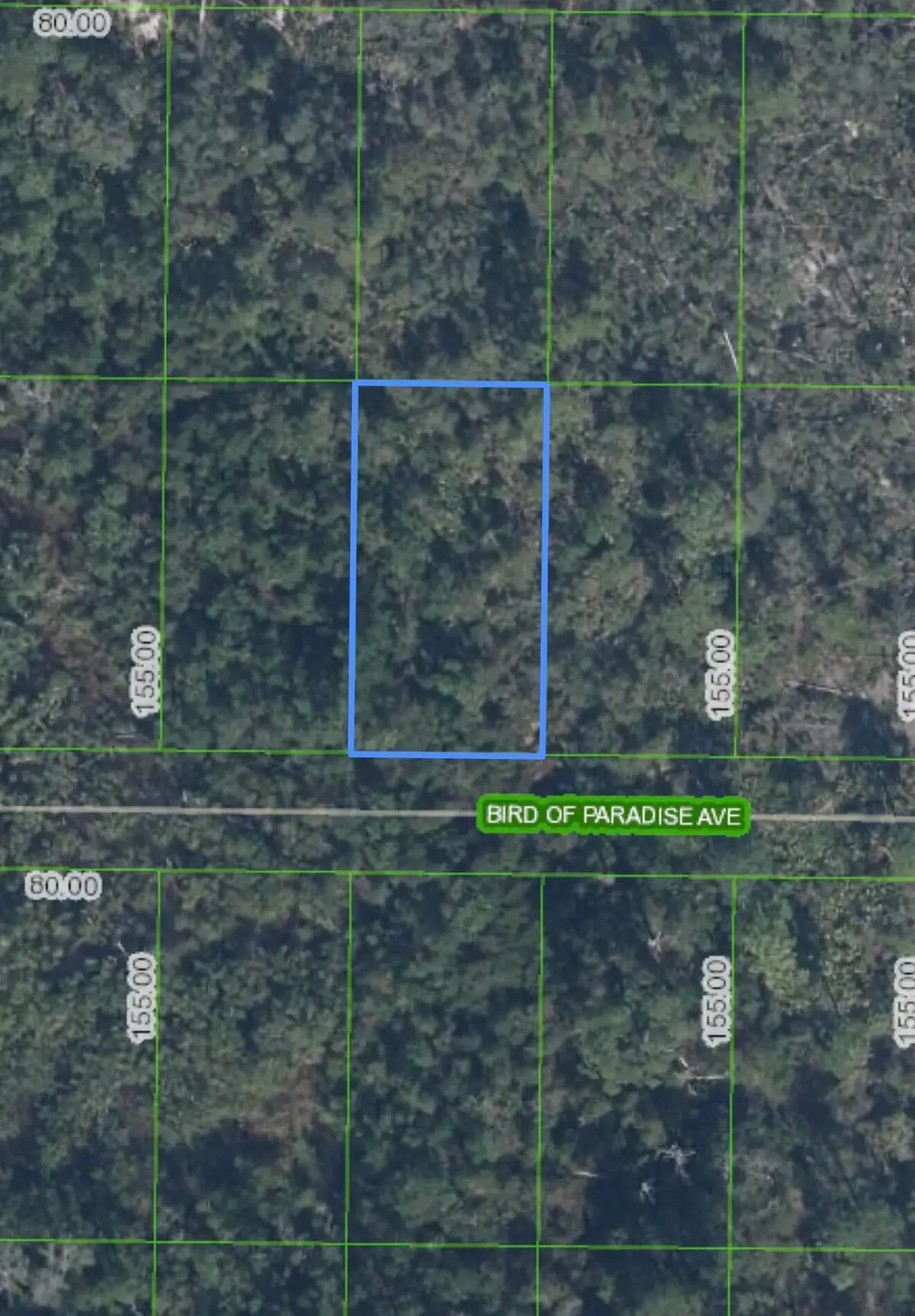 2330 Bird Of Paradise Avenue, Sebring, FL 33875 - #1