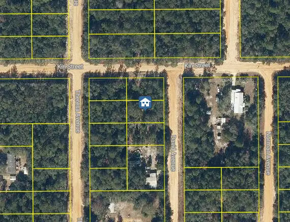 Lot 30 David Avenue, Interlachen, FL 32148 - #1