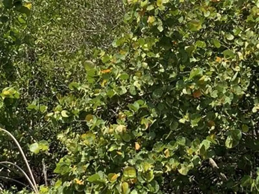0 S Ocean Drive, Fort Pierce, FL 34949 - #2