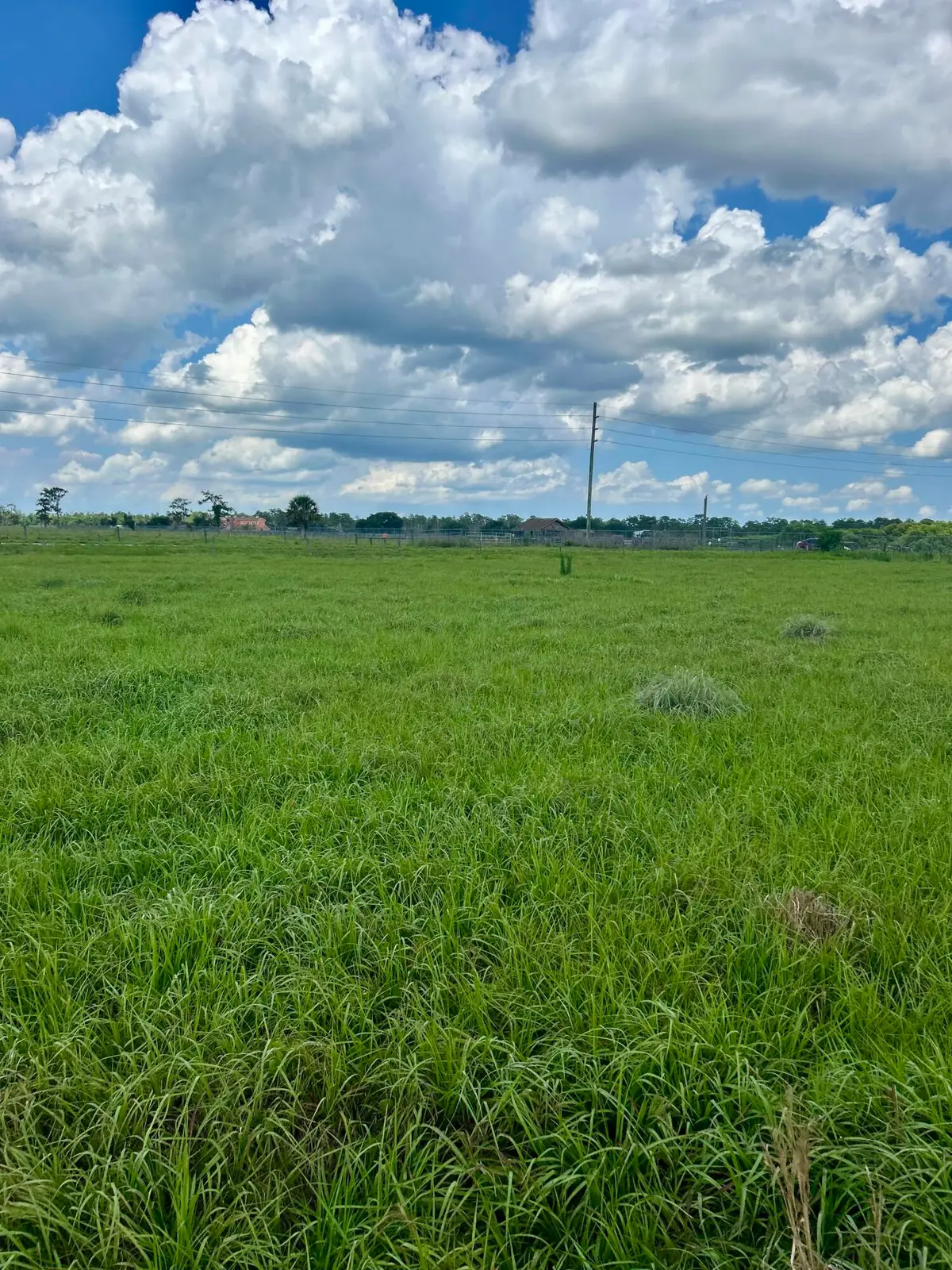 850 NW 344th Street, Okeechobee, FL 34972 - #1