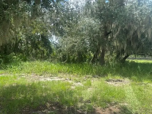 0 Old Stokes Road, Frostproof, FL 33843 - #1