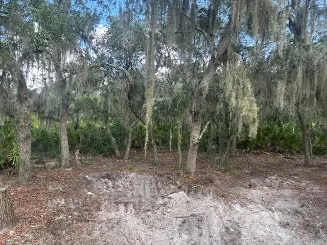 0 Old Stokes Road, Frostproof, FL 33843 - #3