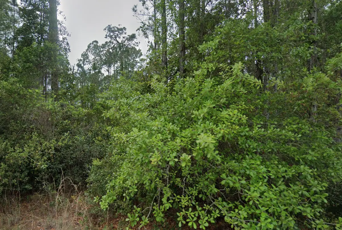 107 Glenside Street, Georgetown, FL 32139 - #1