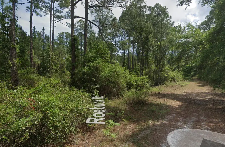 126 Roebuck Street, Georgetown, FL 32139 - #3